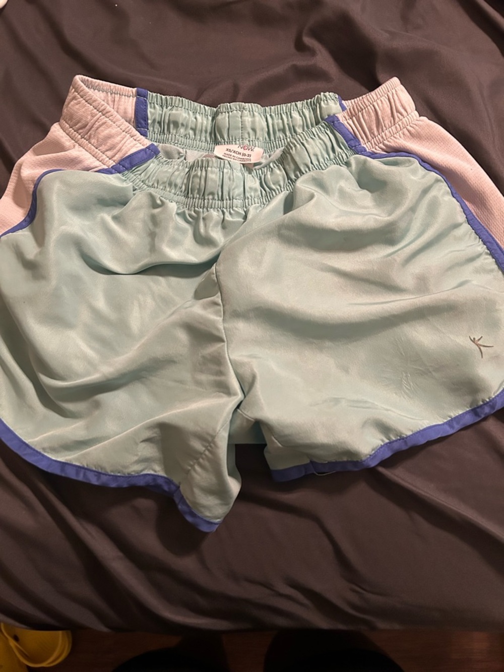 Danskin Mint Green Athletic Shorts with Lavender Trim